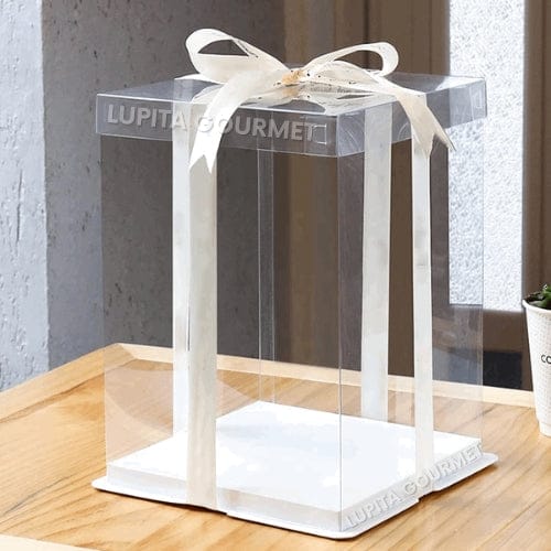 CAJA DE ACETATO PARA PASTEL 31X21 CM