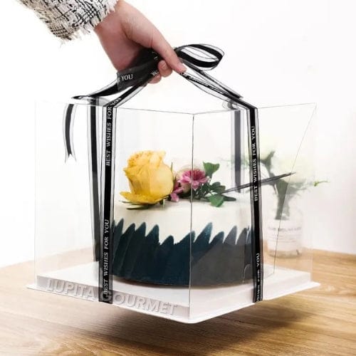 CAJA DE ACETATO 23X21 CM